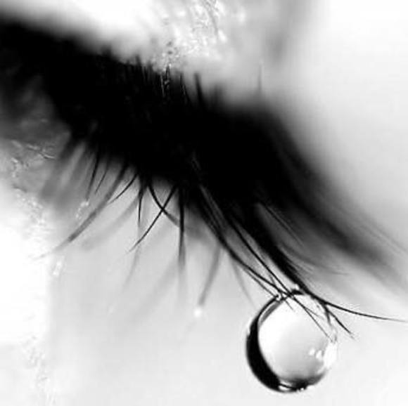 Meet your Posher, Robin - Picture 1 of 1